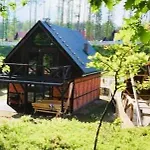 Leśny Sentyment Na Gwizdówce Na Kaszubach * Zalakowo