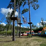 Leśny Sentyment Na Gwizdówce Na Kaszubach *