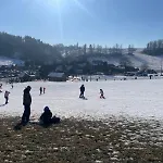 Leśny Sentyment Na Gwizdówce Na Kaszubach * Zalakowo