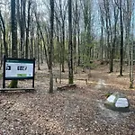 Leśny Sentyment Na Gwizdówce Na Kaszubach