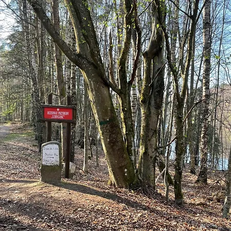 Lesny Sentyment Na Gwizdowce Na Kaszubach