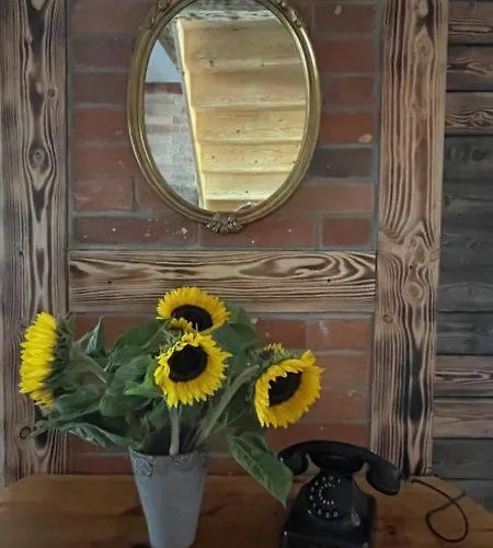 Semesterbostad Lesny Sentyment Na Gwizdowce Na Kaszubach