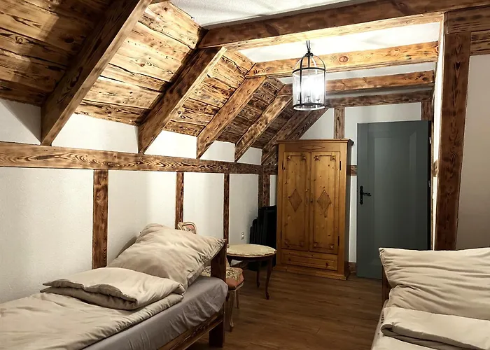 Lesny Sentyment Na Gwizdowce Na Kaszubach * Zalakowo