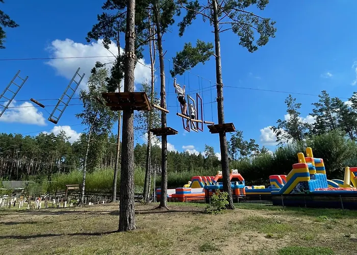 Lesny Sentyment Na Gwizdowce Na Kaszubach *