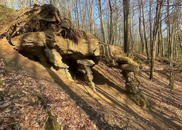 Semesterbostad Lesny Sentyment Na Gwizdowce Na Kaszubach