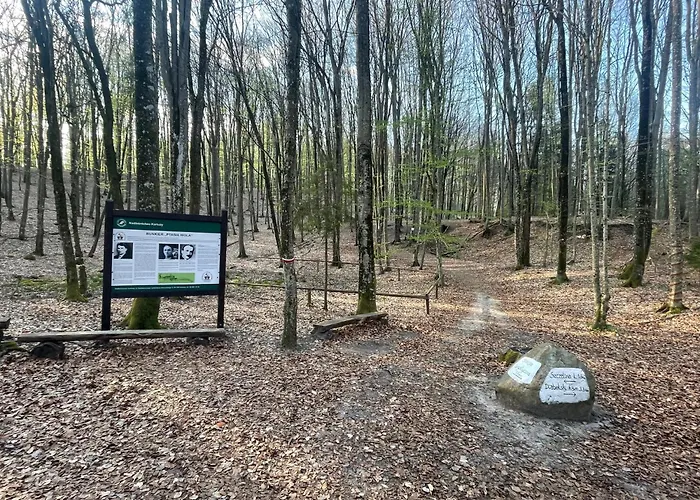 Lesny Sentyment Na Gwizdowce Na Kaszubach