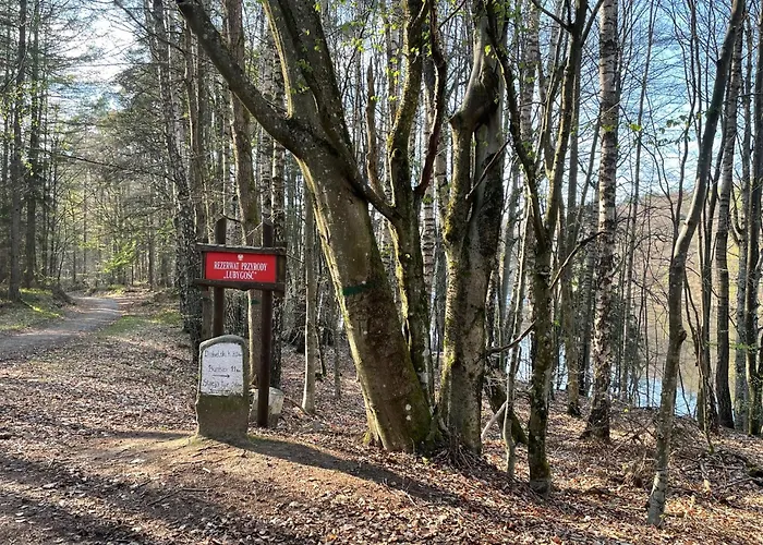 Lesny Sentyment Na Gwizdowce Na Kaszubach