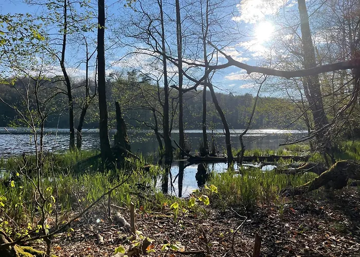 Semesterbostad Lesny Sentyment Na Gwizdowce Na Kaszubach