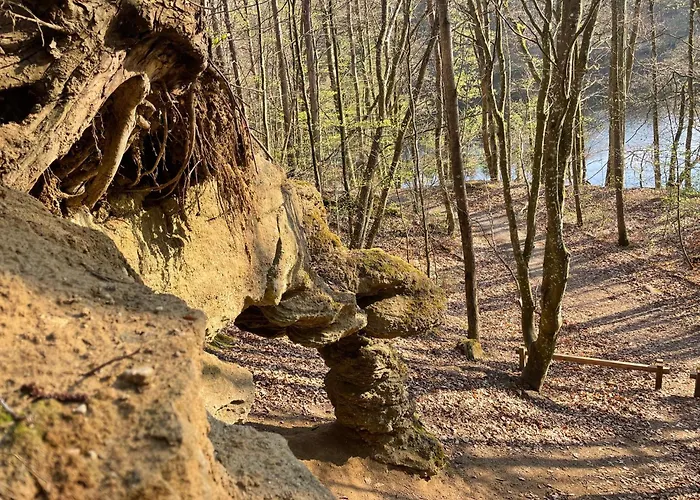 Lesny Sentyment Na Gwizdowce Na Kaszubach *