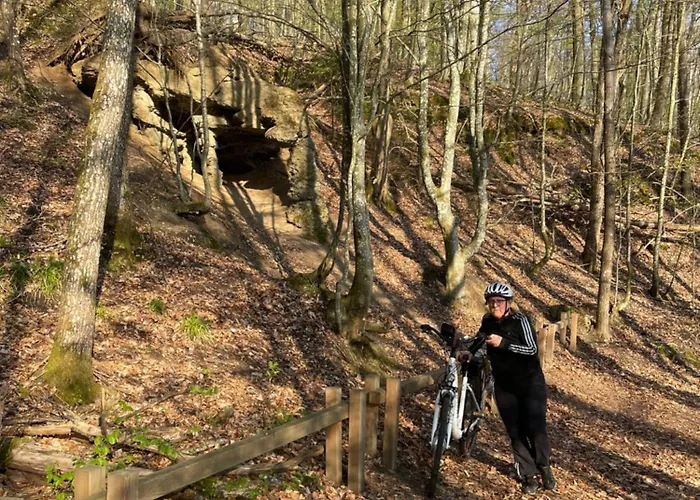 Lesny Sentyment Na Gwizdowce Na Kaszubach * Zalakowo